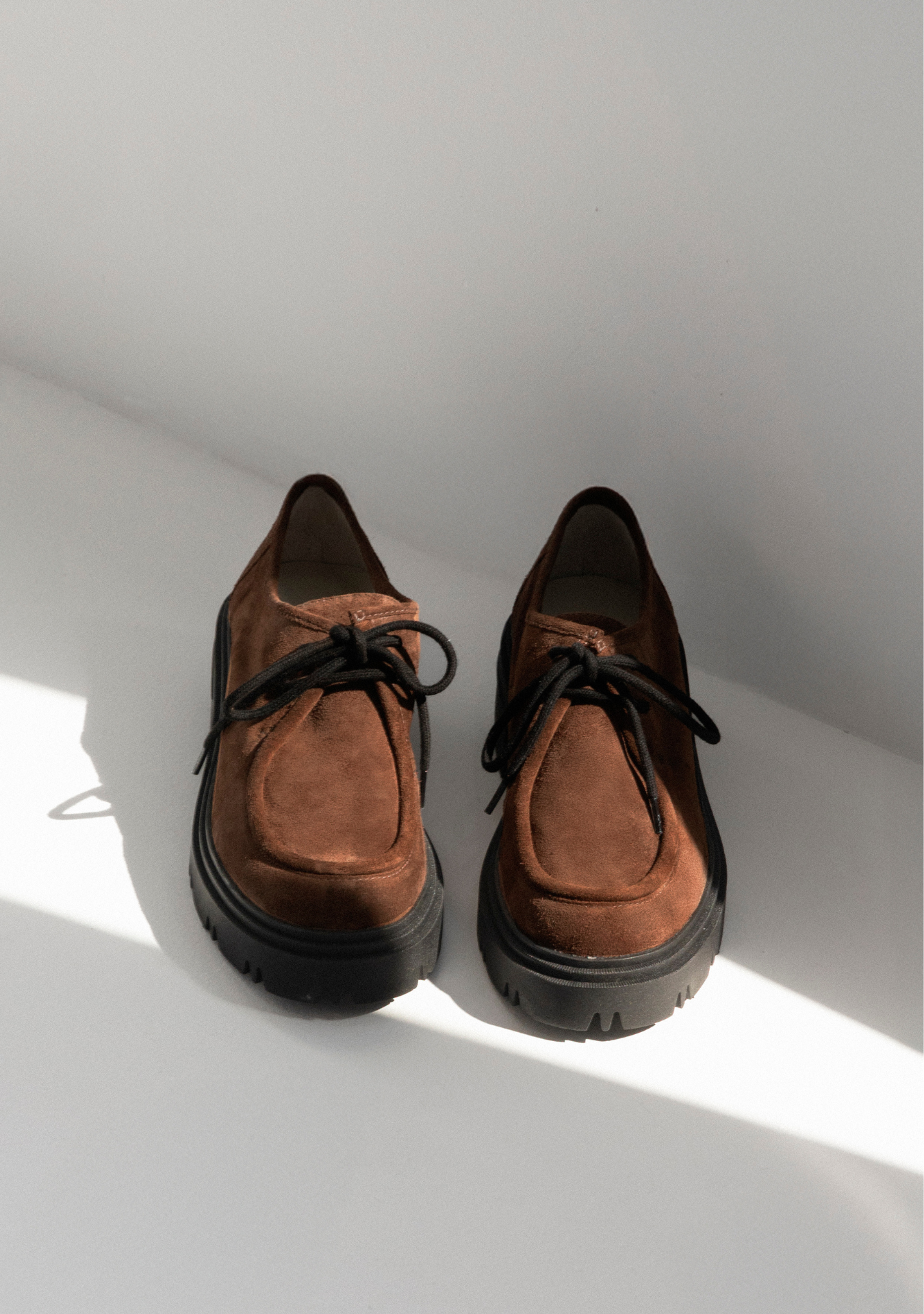 Oxford Carolina Chocolate