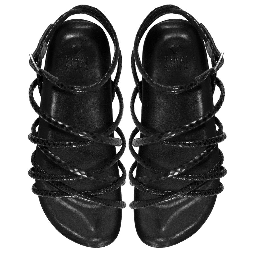 Flat Granada Snake Black