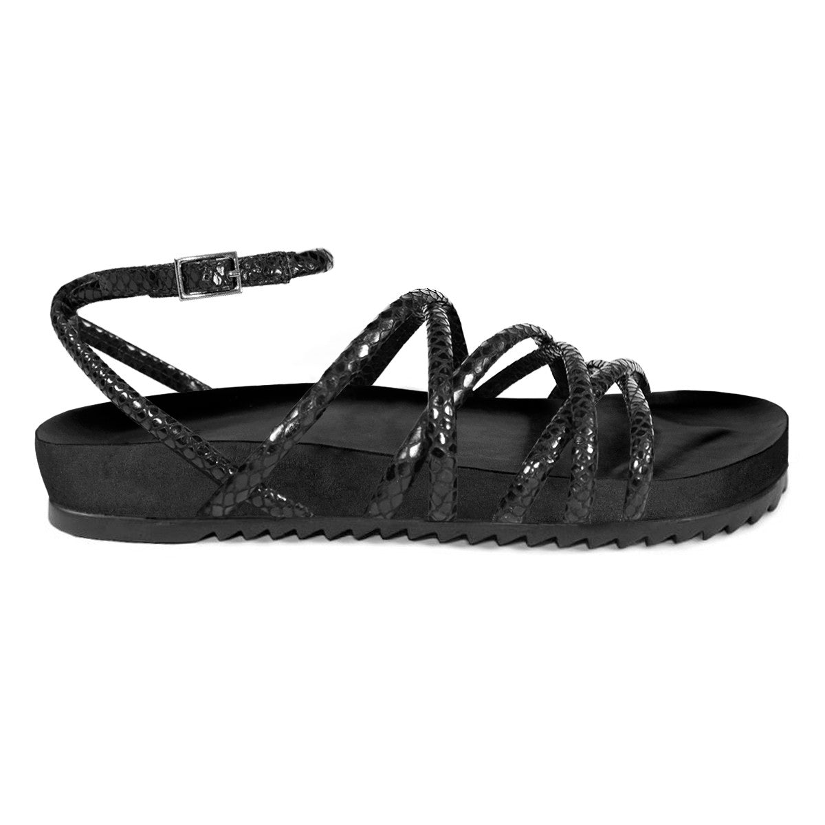 Flat Granada Snake Black